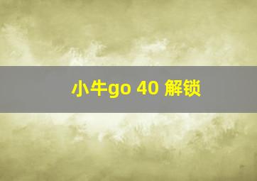 小牛go 40 解锁